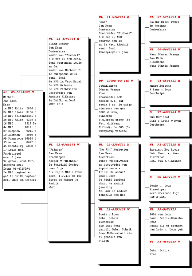 NL05-5432229stamboom